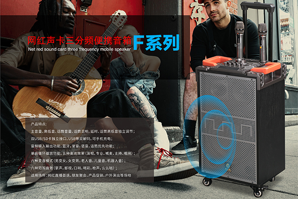 爵士龙民用音响广场舞音响F110系列，网红声效优质拉杆音响！